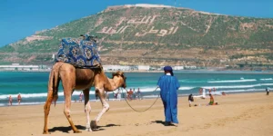 PRIVATE TRANSFER FROM MARRAKECH TO AGADIR OR VICE-VERSA